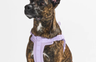 Wild One Coupon Code: Save 15% Off