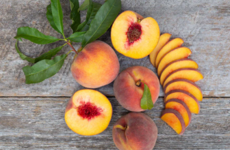 Frog Hollow Farm Coupon: Up to 10% Off Site-wide