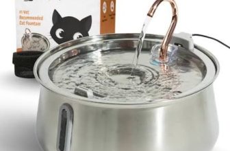 KittySpout Coupon Code: Enjoy 15% Off At Kittyspout