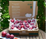 Frog Hollow Farm Coupon: Up To 15% Off Sitewide