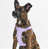 Wild One Coupon Code: Save 15% Off